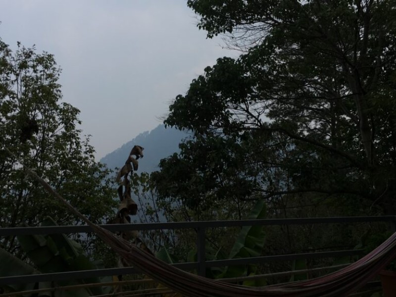 Juni 2024 - Das t&auml;gliche Leben in Honduras